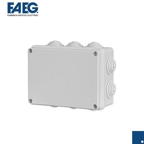 Scatola stagna di derivazione con passacavi da parete IP55, 150 mm x 110 mm, Doppio isolamento, Grigio Chiaro FAEG FG13405