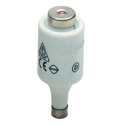 Fusibile DII  4A 400/500V 22x50 mm 