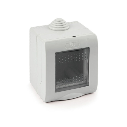 Elettrocanali ECSE60502 Scatola Parete per 2 apparecchi IP55