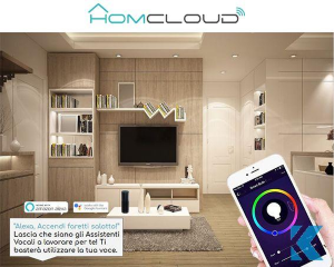 Homcloud EE-45WG10 Domotica Faretto GU10 ad incasso Wi-FI RGB+BIANCO CALDO dimmerabile