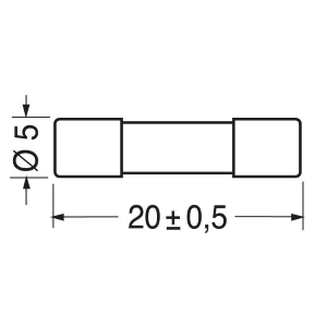 FUSIBILI RAPIDI 5x20   1,0 A 