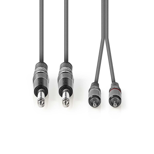 Cavo audio stereo 2x 6,35 mm maschio | 2x RCA maschio | 5,00 m