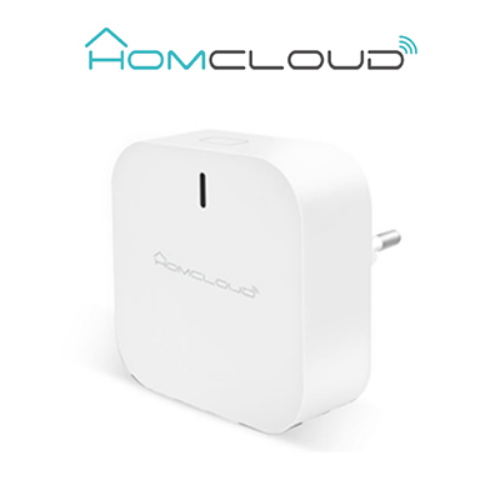 Centralina intelligente Hub a muro Zigbee+Bluetooth New